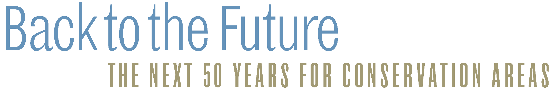 Back to the Future: the next 50 years of Conservation Areas