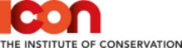 Icon logo